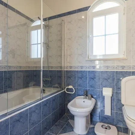 Coelho By Trip2portugal *