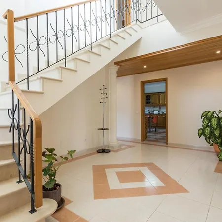 Coelho By Trip2portugal *