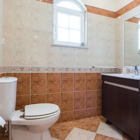 Coelho By Trip2portugal *